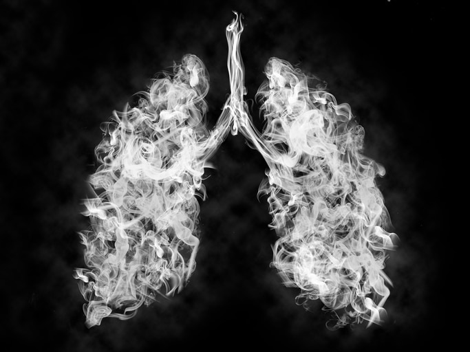 vapor in shape of lungs